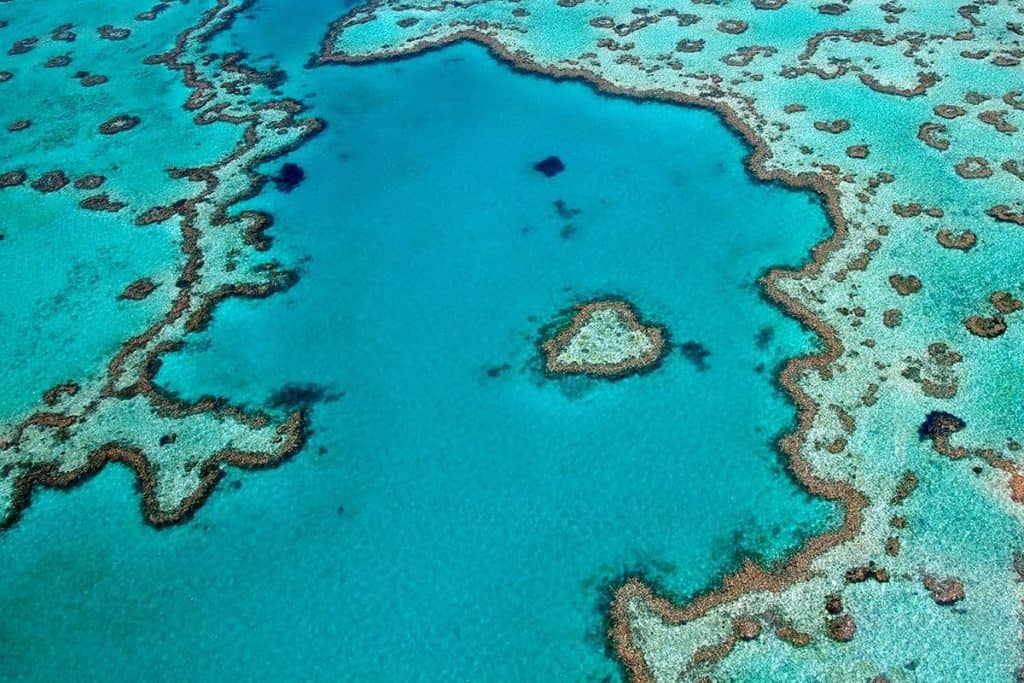 Das Grat Barrier Reef