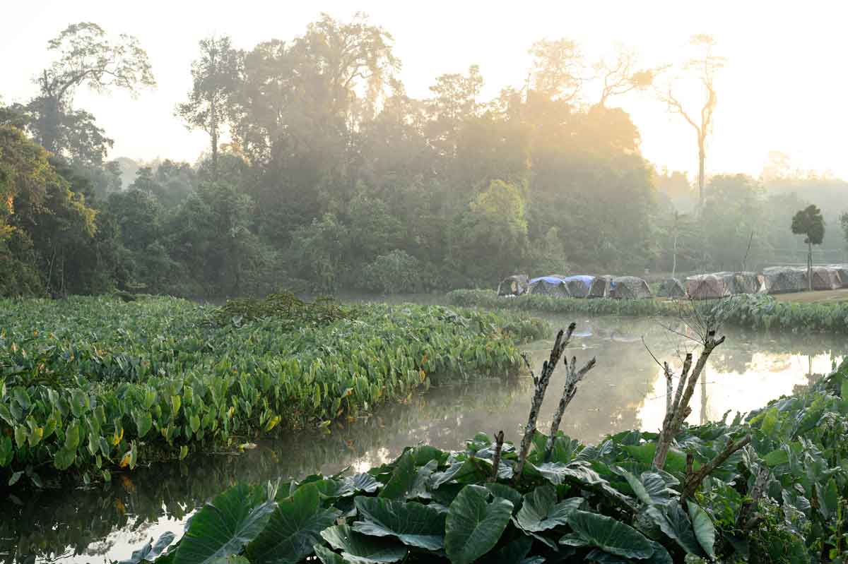 Fluss im Nationalpark Khao Yai