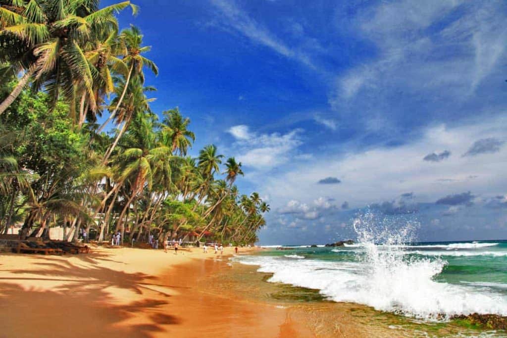 Ein oranger Strand und grüne Palmen am azurblauen Meer von Sri Lanka