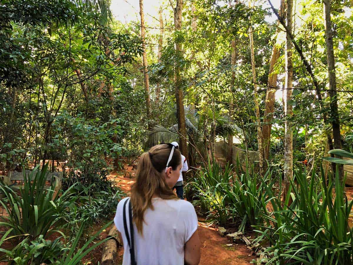 Reisende im Vinales  botanischen Garten