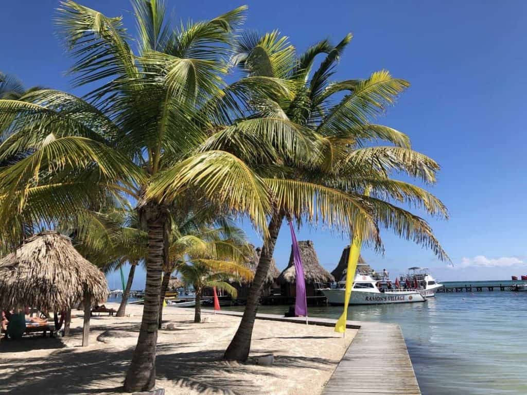 Palmen am Strand von San Pedro Belize
