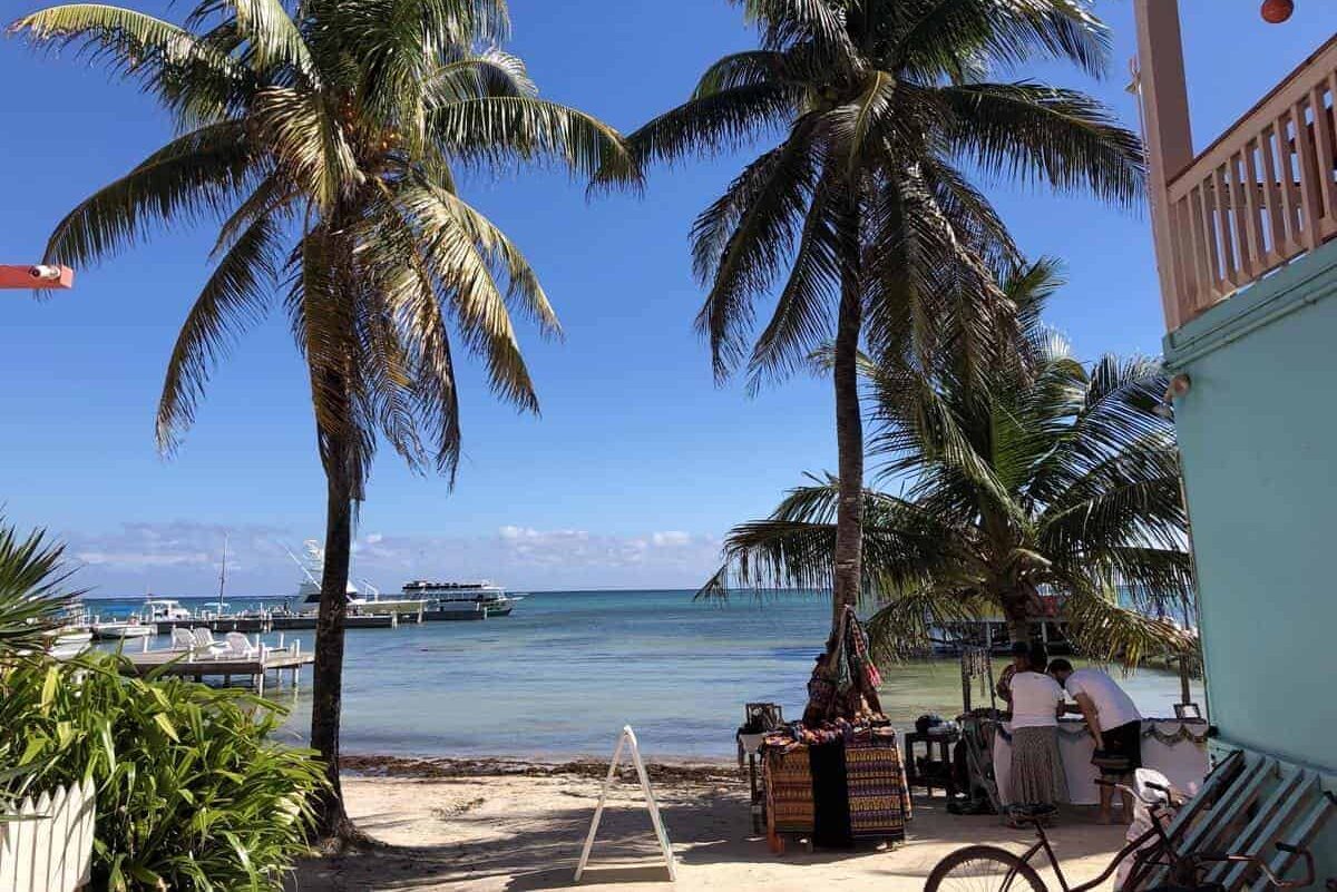 Palmen am Strand von San Pedro. Im Hintergrund das Meer