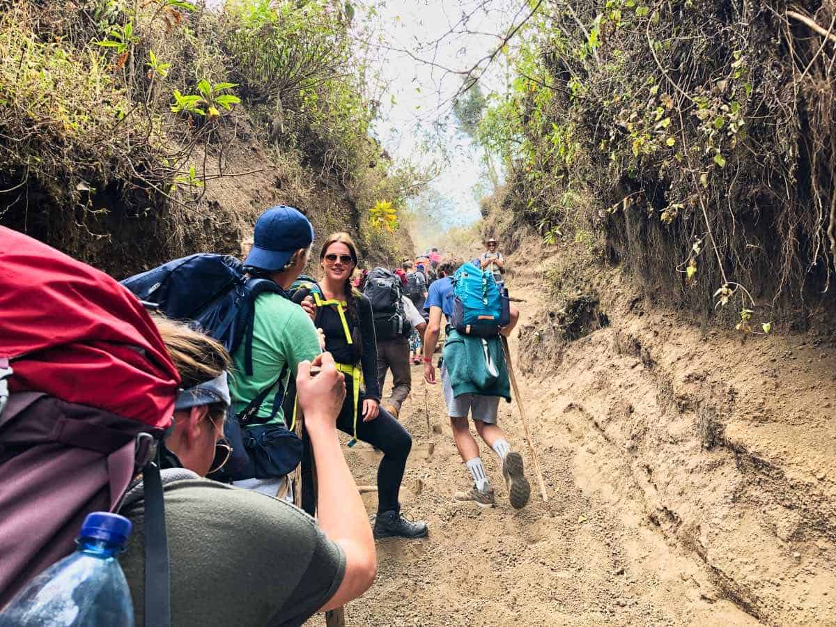 Gruppe von Wanderern auf dem Acatenango