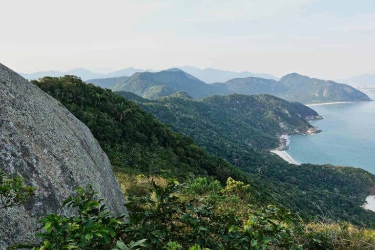 Kuste in Rio de Janeiro in Brasilien mit tropischen Pflanzen