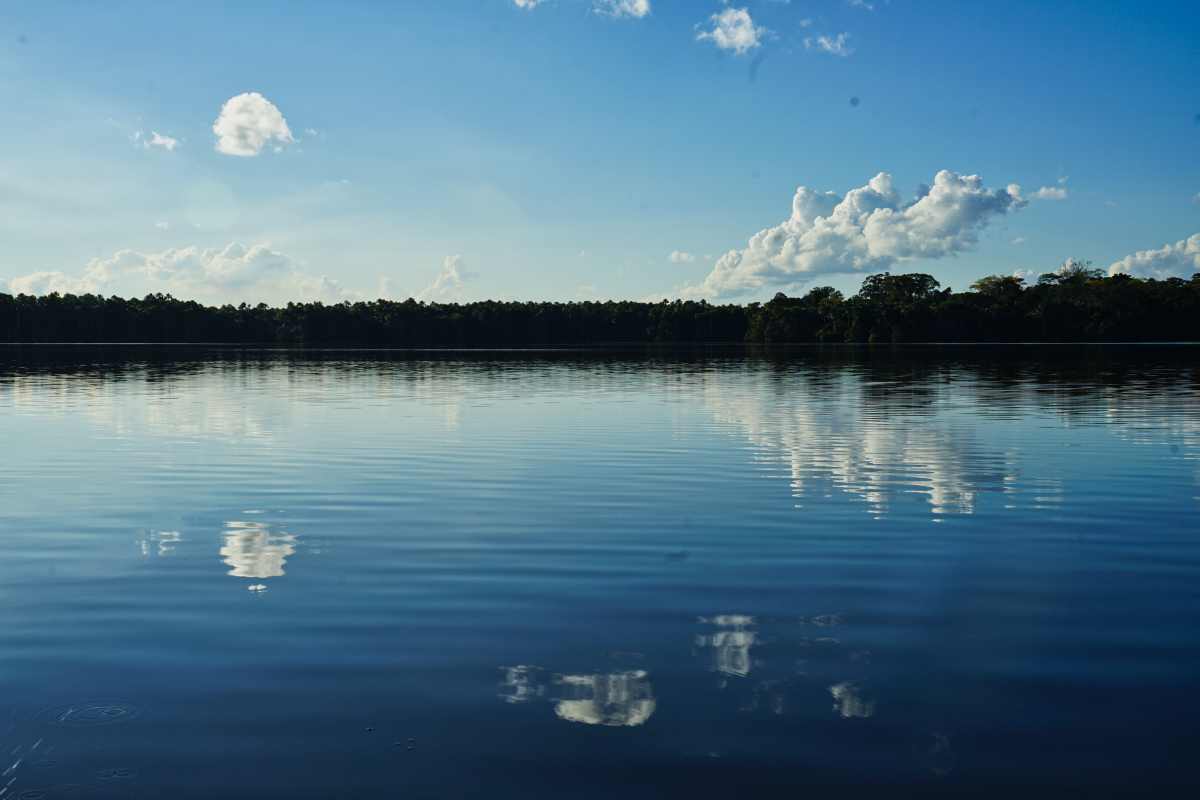 Lake Sandoval im Tambopata Reserve im Amazonas-Regenwald von Peru