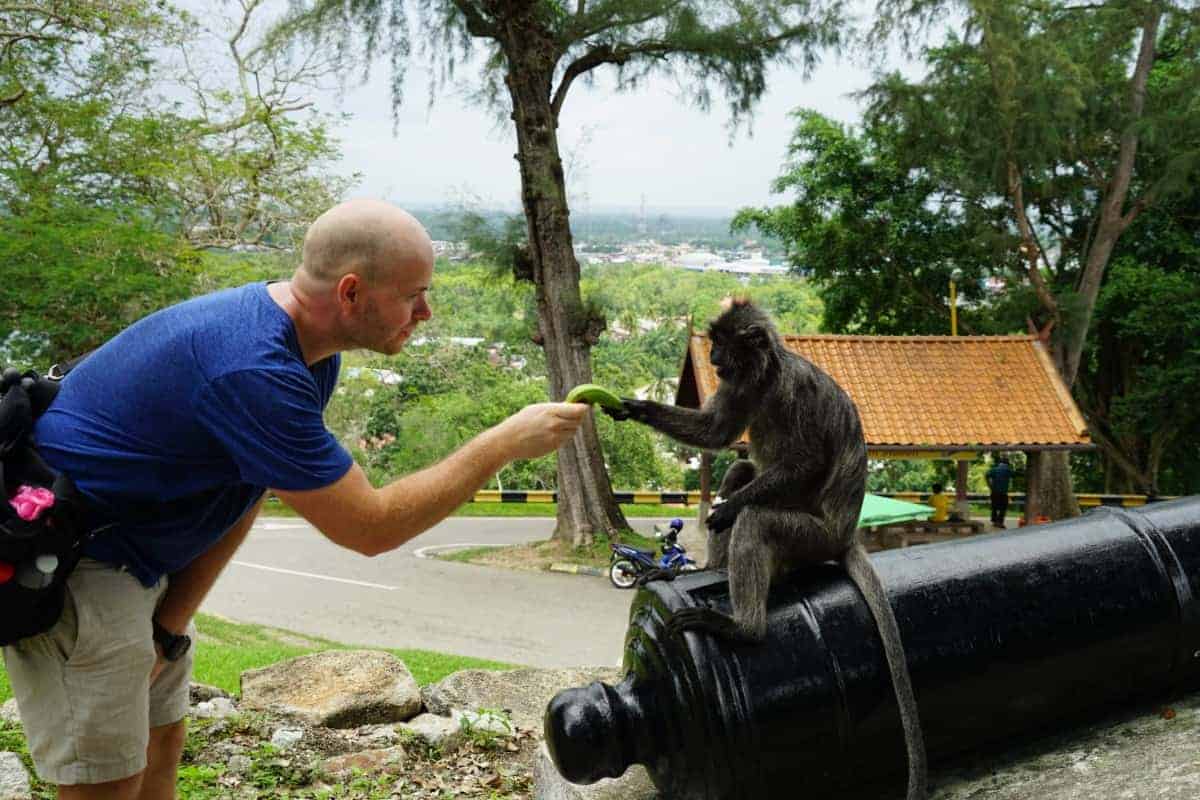 Mann füttert Affen