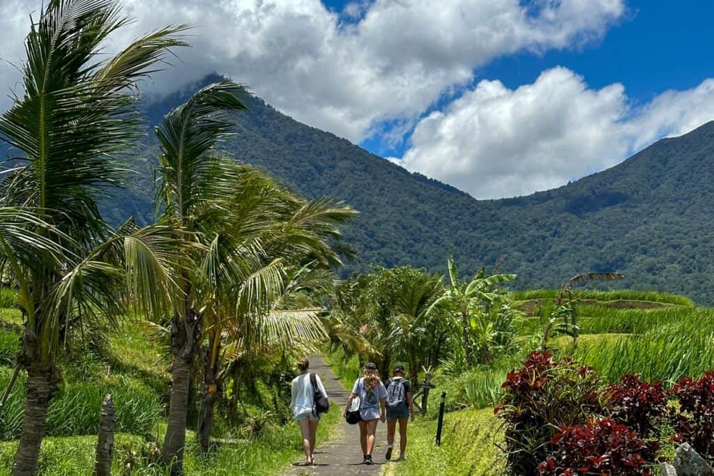Jatiluwih Reisefelder Bali Reisgruppe mit Berg im Hintergrund