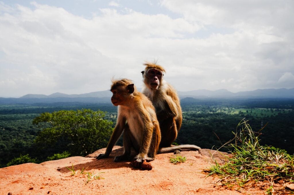 Sigiriya: Felsenfestung Lanka
