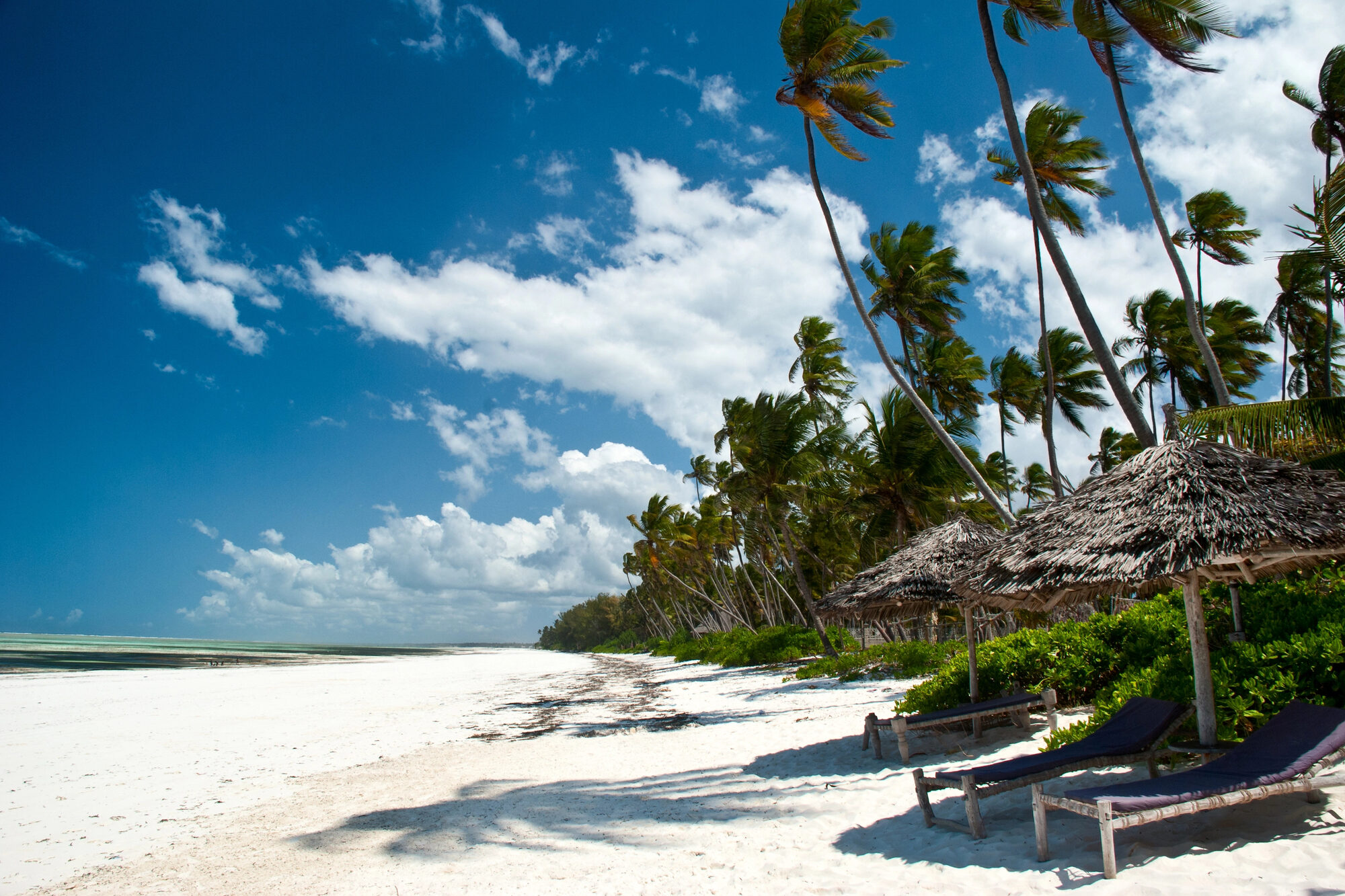 Strand von Sansibar