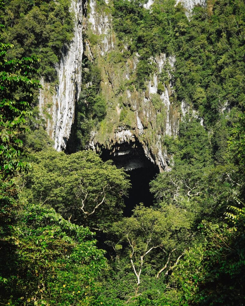 Ein üppiger grüner Wald umgibt den Eingang einer großen, dunklen Höhle in einer Felsklippe.