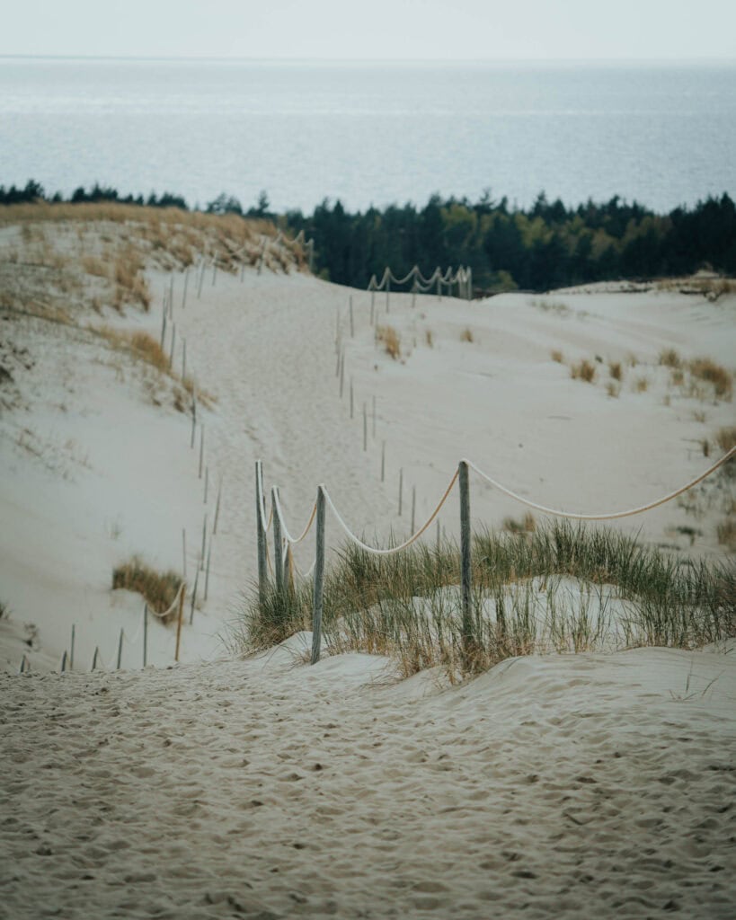 Ein mit Seilen gesäumter Sandweg schlängelt sich durch die Dünen zu einem entfernten Wald und Gewässer.