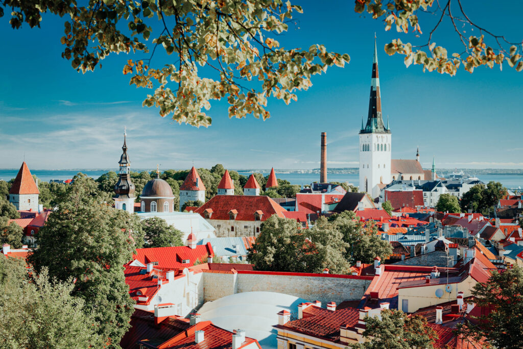 Ein Panoramablick auf die Altstadt von Tallinn mit roten Dächern, Kirchtürmen und grünen Bäumen unter einem blauen Himmel.
