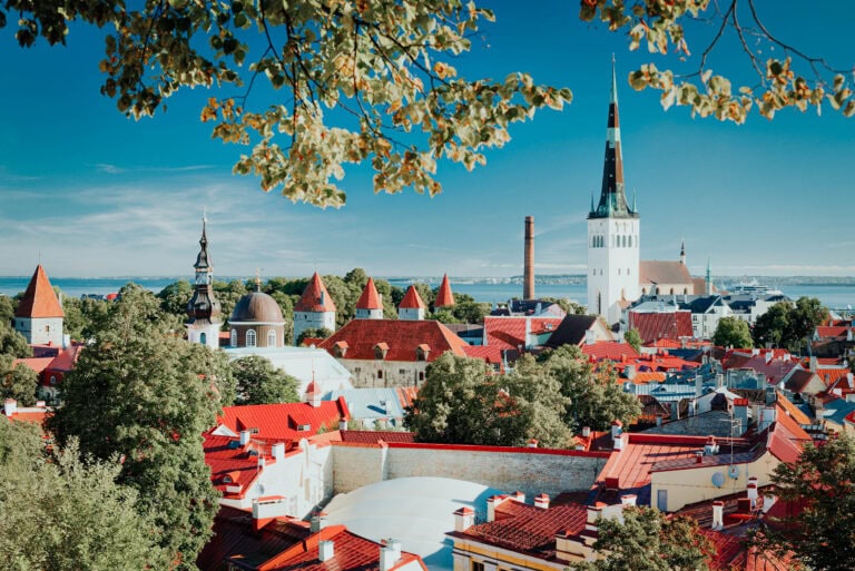 Ein Panoramablick auf die Altstadt von Tallinn mit roten Dächern, Kirchtürmen und grünen Bäumen unter einem blauen Himmel.