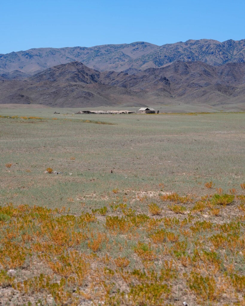 Eine grüne Ebene mit vereinzelten orangefarbenen Blumen, Hütten in der Ferne und einer Bergkette unter einem strahlend blauen Himmel.