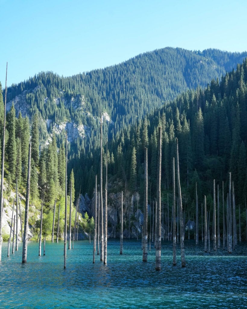 Hohe Baumstämme ragen aus einem türkisfarbenen See empor, umgeben von dichtem, grünem Wald und Bergen unter einem klaren Himmel.