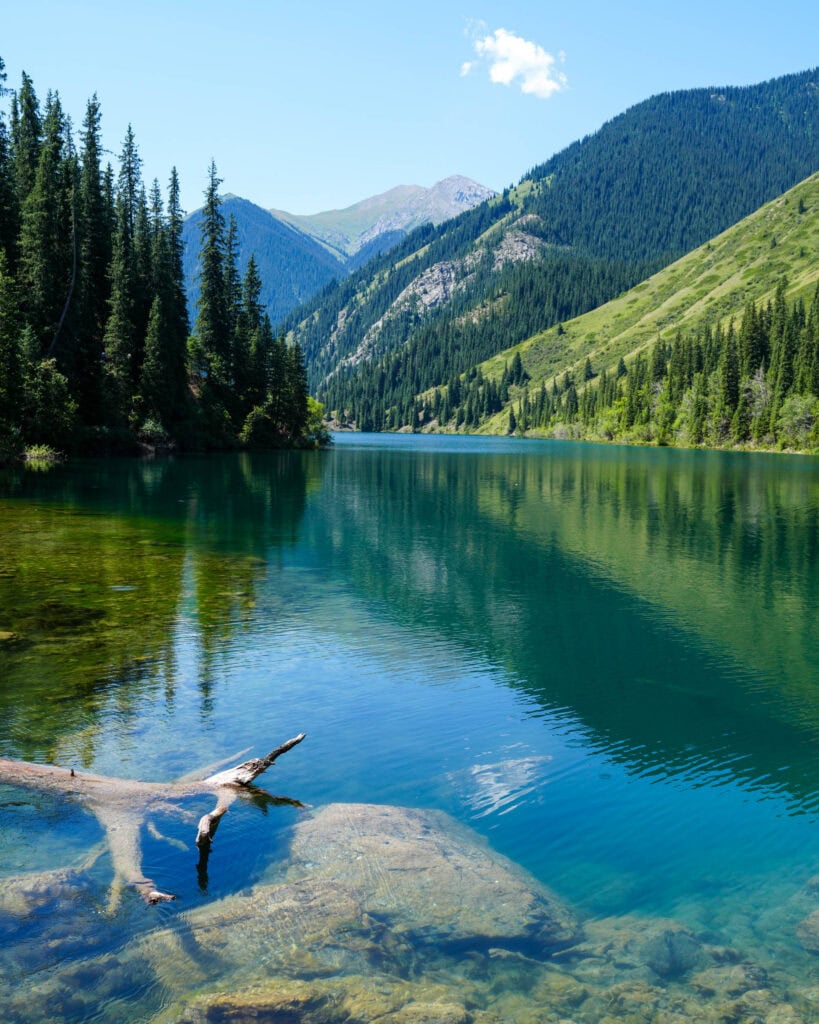Ein klarer See mit einem umgestürzten Baumstamm, umgeben von grünen Bergen und Kiefern unter blauem Himmel.