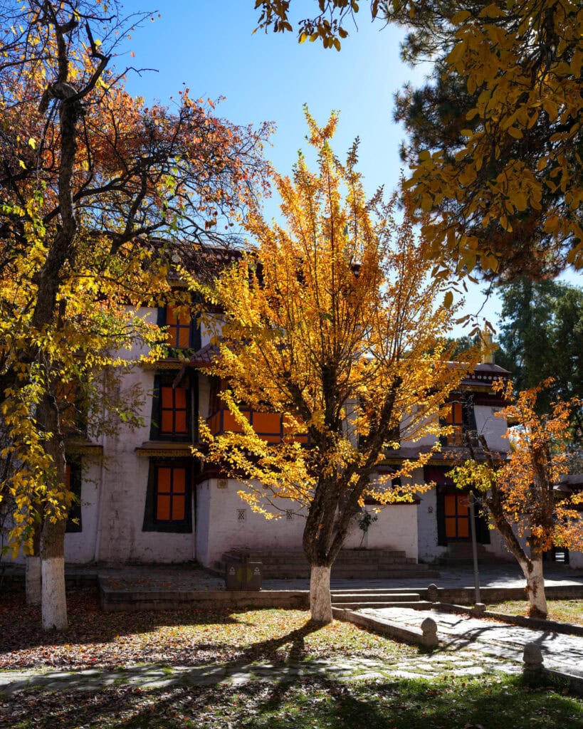 Ein weißes Gebäude mit orangefarbenen Fensterrahmen, umgeben von herbstlich goldfarbenen Bäumen.
