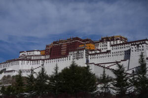 Der Potala-Palast in Lhasa, Tibet, thront auf einem Hügel, im Vordergrund sind Kiefern zu sehen.