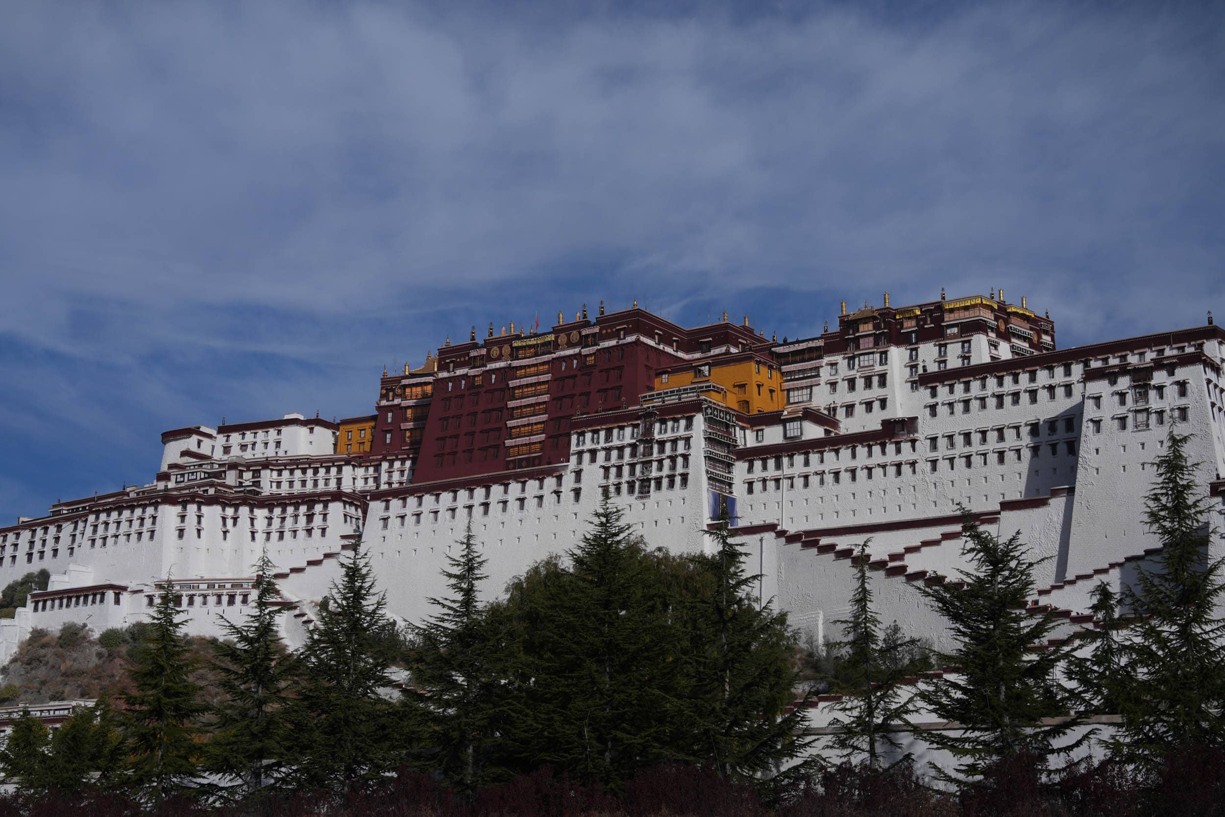 Der Potala-Palast in Lhasa, Tibet, thront auf einem Hügel, im Vordergrund sind Kiefern zu sehen.