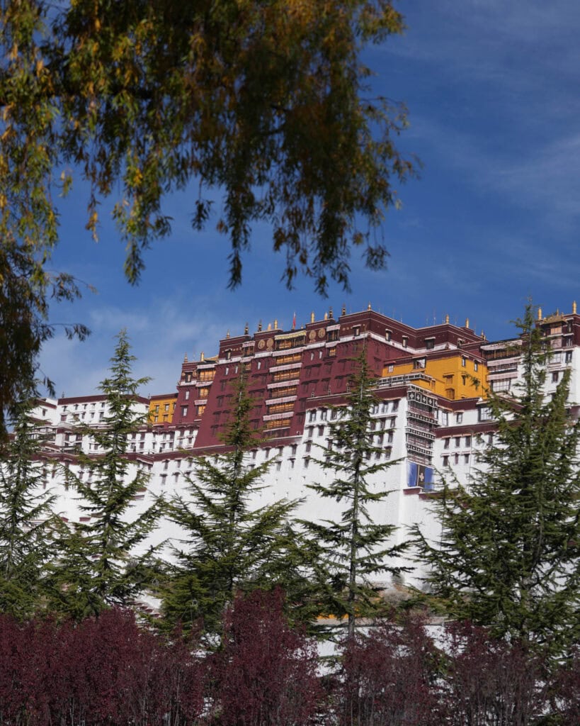 Der Potala-Palast in Lhasa, Tibet, gesehen durch Kiefern.