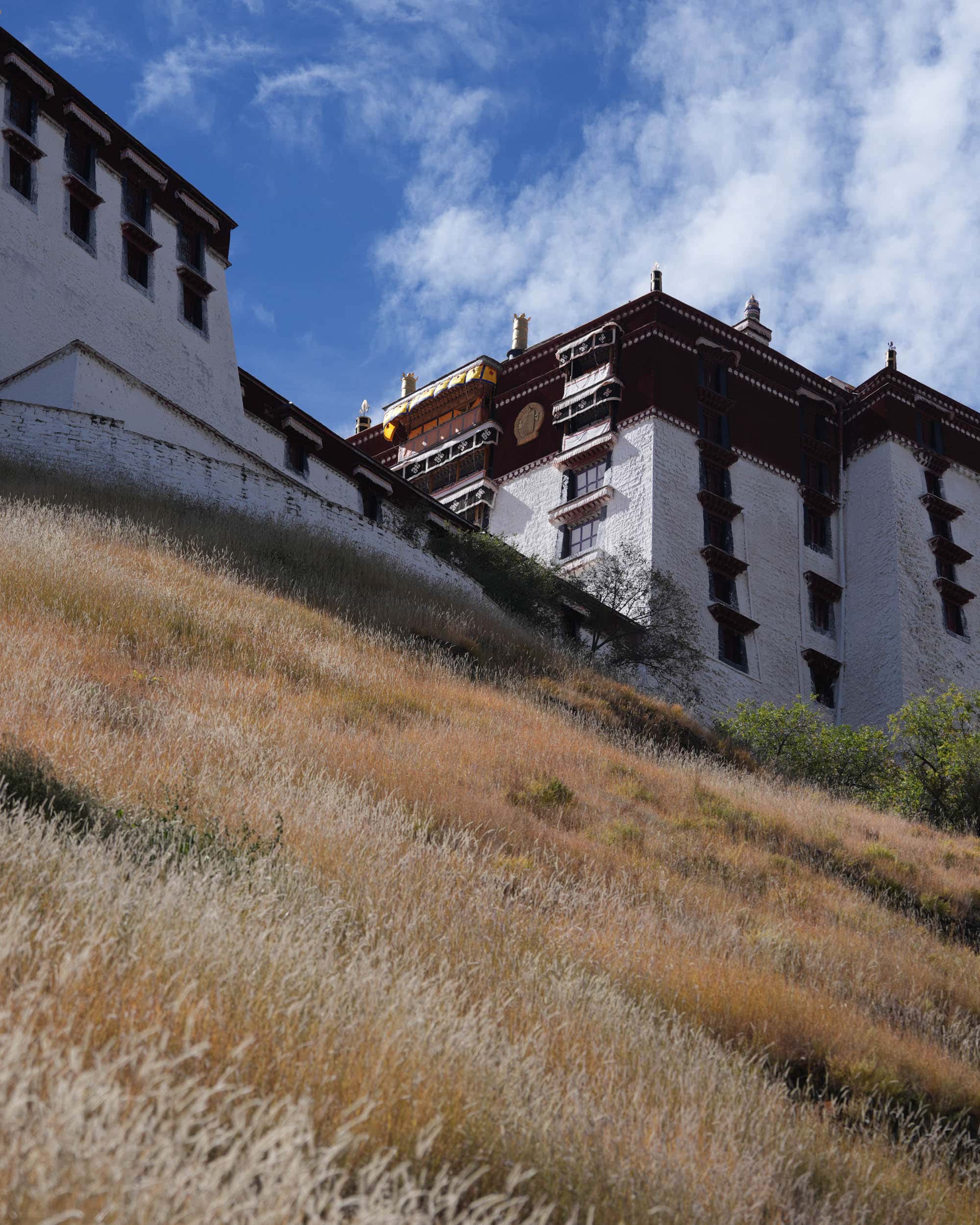 Der Potala-Palast in Lhasa, Tibet, thront hoch oben auf einem grasbewachsenen Hügel.
